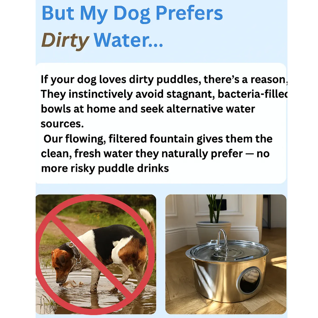 Pawdrate: Fresh, Filtered Water Every Day