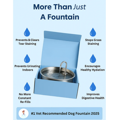 Pawdrate: Fresh, Filtered Water Every Day