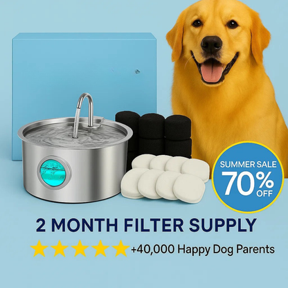 Pawdrate: Fresh, Filtered Water Every Day