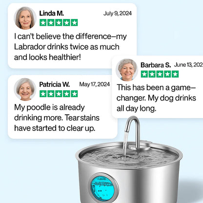 Pawdrate: Fresh, Filtered Water Every Day