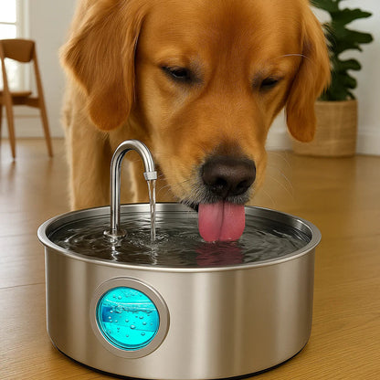 Pawdrate: Fresh, Filtered Water Every Day